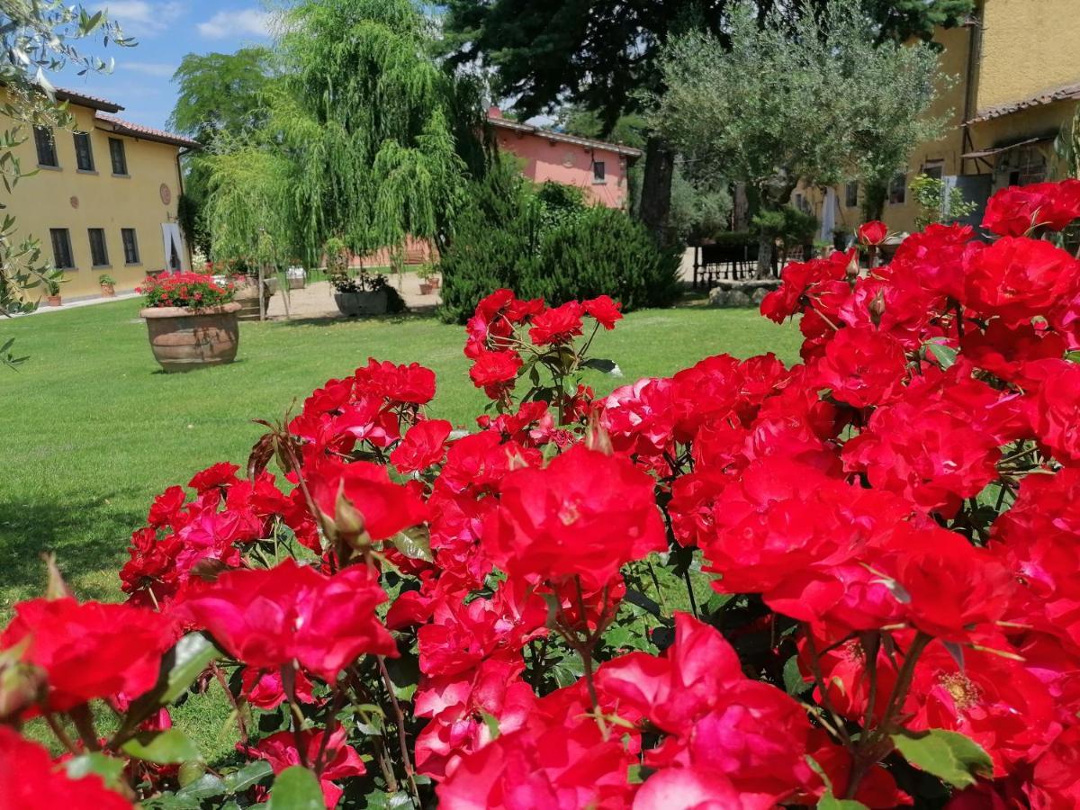 Podere Piandarca تيرانووفا براتشولي المظهر الخارجي الصورة